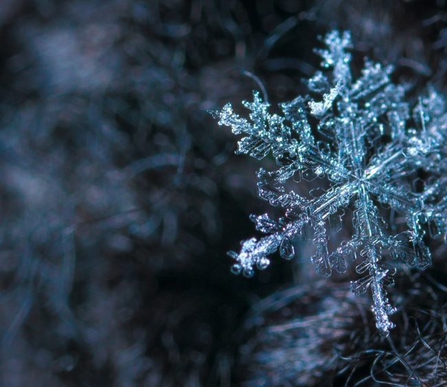 Cortex AI Snowflake