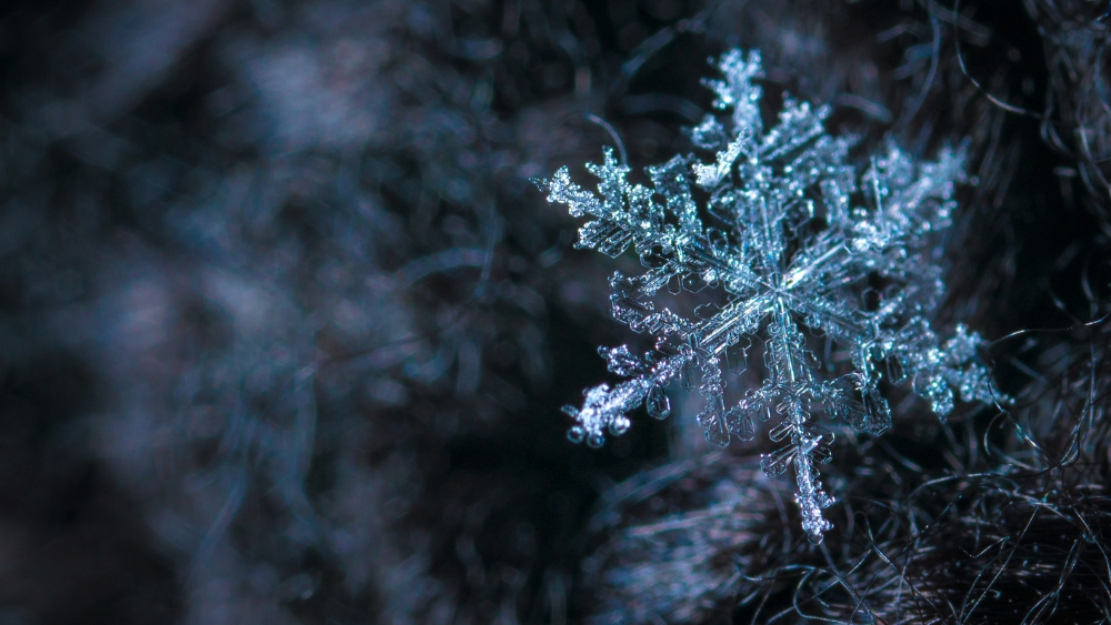 Cortex AI Snowflake